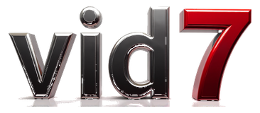 vid7 logo